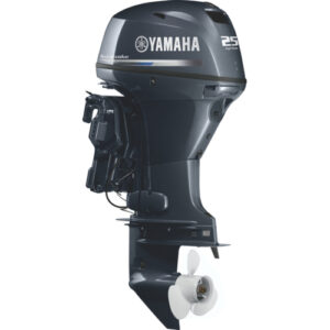 The Growing Electric Outboard Engines Markets